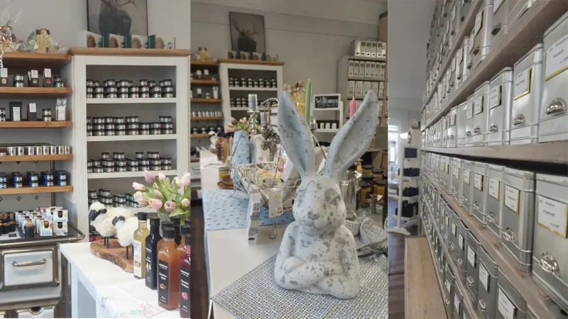 Oxclusivia Eröffnung 14032026