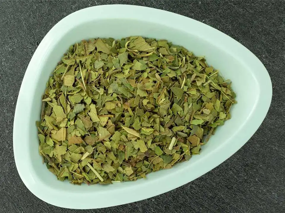 lemon myrtle, zitronenmyrthe, zitronen myrthe