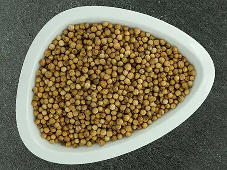 kardamomsamen, saat kardamom