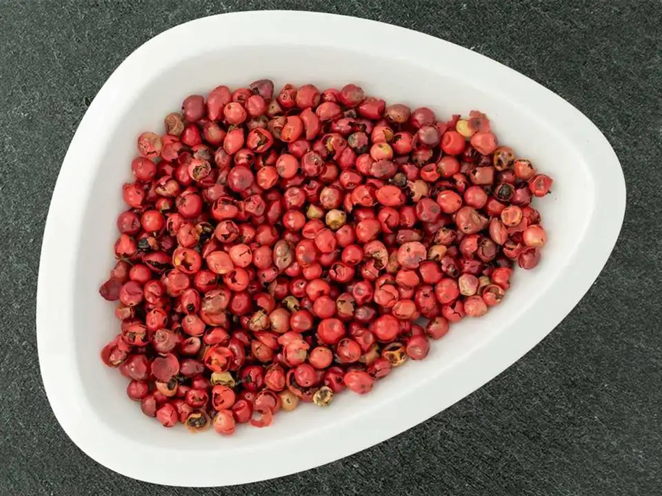 rosa beeren, beeren rosa, rosa beere, rosa beere, rosa pfefferbeeren, schinus beeren, schinusbeere